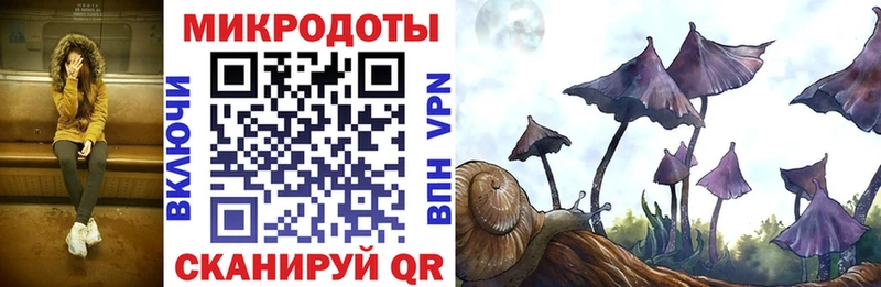 Галлюциногенные грибы Psilocybe  хочу   маркетплейс состав  Алексин 